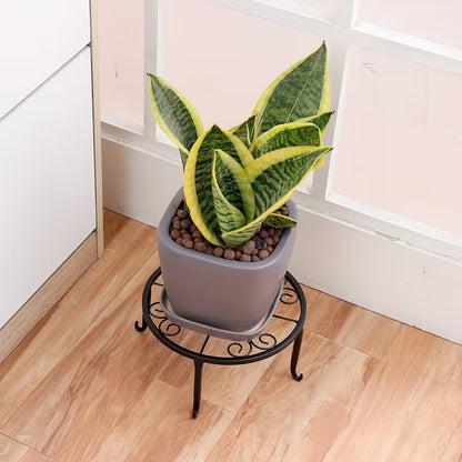 Modern Metal Plant Stand – Iron Indoor Outdoor Flower Pot Stand Rack | Black & Golden Round Plant Holder for Home Decor 🔥 60% OFF – LAST DAY SALE