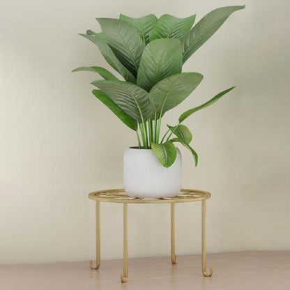 Modern Metal Plant Stand – Iron Indoor Outdoor Flower Pot Stand Rack | Black & Golden Round Plant Holder for Home Decor 🔥 60% OFF – LAST DAY SALE
